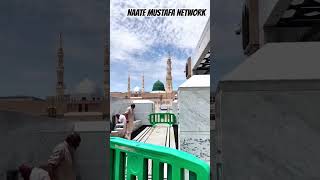 Hara Gunbad Jo Dekhoge  shortsviral newnaatsarif shortsyoutube islamicgreeting trending love [upl. by Cesare]