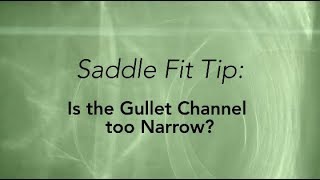 Is the Gullet Channel Too Narrow Fit Tip by Saddlefit 4 Life® [upl. by Dublin]