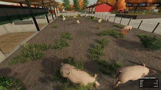 FS22 The Western Wilds Frontiersman Series  50  Buying amp Feeding 500 German Landrace Pigs [upl. by Aynotal]