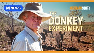 The maverick outback grazier using donkeys to regenerate his land  Australian Story [upl. by Dyol]