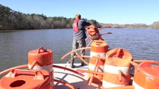 Alabamas State Public Fishing Lakes Now Open [upl. by Renfred923]