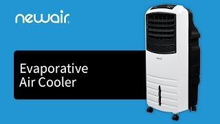 Evaporative Air Cooler  NewAir AF1000W [upl. by Eecyak]