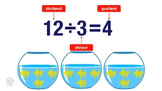 What is Division Grade 3 [upl. by Annazor]