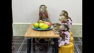 4 Siblings Sit Very Obediently At The Table Waiting Mom To Come amp Join Them Fruity Dessert [upl. by Ebonee218]