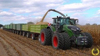 Road Train  Fendt 1050 Vario  10 X HW80  Gewicht 118 Tonnen  Gut Grambow  Maisernte 2018 [upl. by Lau]