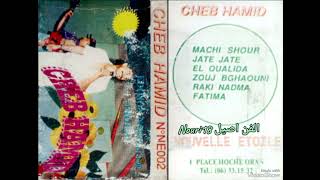 Album Cheb HamidFatimaParti 2 [upl. by Etnoval]