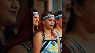 Maori Heritage Unveiled New Zealands Cultural Marvel [upl. by Nivri]