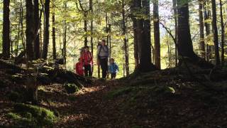 Urlaub in Ruhpolding  Sommer amp Winteraktivitäten in den Bayerischen Alpen [upl. by Aisek434]