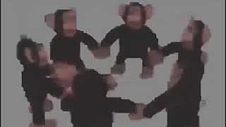 monkeys spinning in a circle for 24 mins and 17 seconds [upl. by Adoree941]