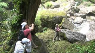 Visite las cataratas El Breo en Juanjuí  San Martín [upl. by Ettennan351]