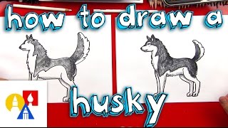 How To Draw A Husky [upl. by Lilas]