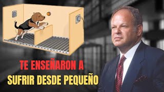 El experimento de la indefensión aprendida 0de Martin Seligman [upl. by Aihsile]