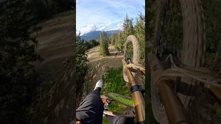 The Biggest Jumps in Whistler Bike Park 😍 whistler crabapple 🦀🍎 [upl. by Latsyek]