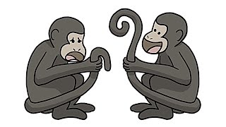 Why Only Some Monkeys Have Awesome Tails [upl. by Ardnuaed]