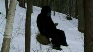 BONE CHILLING BIGFOOT FOOTAGE [upl. by Savil220]