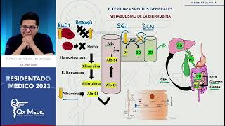 Neonatología  5 Ictericia neonatal [upl. by Ebenezer802]