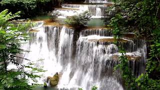 Musique relaxante et calme  Chutes d’eaux et sons de la nature [upl. by Gronseth]