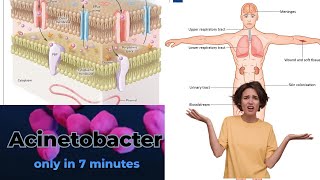 acinetobacter microbiology lecture acinetobacter Easy Microbiology [upl. by Nnaira]