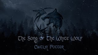 The Witcher  The Song of the White Wolf [upl. by Willmert]