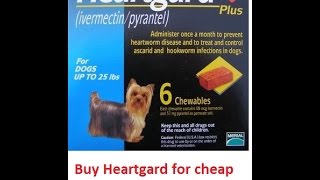 Buy Heartgard Plus For Dogs Online Cheap Without vet [upl. by Tnerb628]