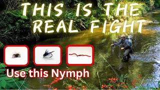 THIS IS THE REAL FIGHT WITH BIG TROUTS【2024 NZ Nymph Fly Fishing】 [upl. by Haswell]