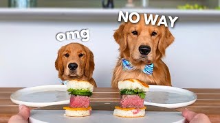 Dog Reviews Food With Little Brother  Tucker Taste Test 21 [upl. by Eanrahc]