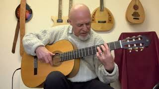 Fandangos naturales 24 Flamenco Guitar Pete carter [upl. by Balbinder]