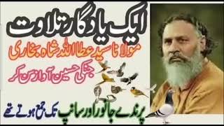 Attaullah Shah Bukhari khutba e jumma [upl. by Haniraz68]