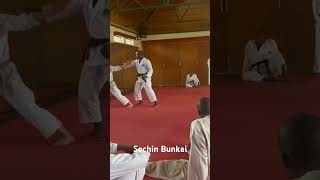 Sochin Bunkai hdki karate stuartamoskarate [upl. by Jeraldine]