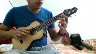 HANDOG  By Florante  Ukulele Cover [upl. by Assennej639]