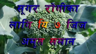 सुगर रोगीका लागि यी सात चिज अमृत सरह सबैले जानी राखौ7 Foods For Sugar Pations [upl. by Patrick]