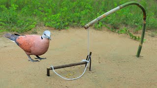 Amazing Bird Trap  Best Quick Bird Trap Using Wooden [upl. by Eat331]