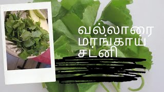 வல்லாரை மாங்காய் சட்னிவல்லாரை கீரை துவையல்recipe in Tamil [upl. by Hamilton]