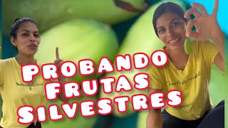 Acompáñame a probar frutas silvestres carmenvelez7519 [upl. by Lenci]