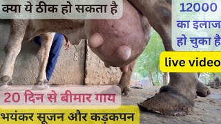 Fibrous and oedematous mastitis  थनेला [upl. by Asela]