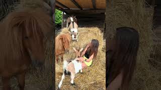 Baci a non finire per capre e pony🐴❤️🐐 soprattutto per pony Vero Whisky😅🥹😍😍 [upl. by Eelymmij443]