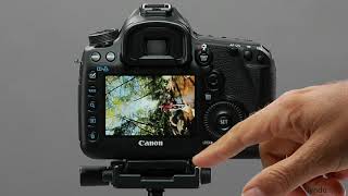 Canon DSLR Tutorial  AF Point Display [upl. by Oecile]