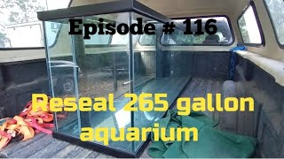 Resealing 265 gallon aquarium [upl. by Hoes]