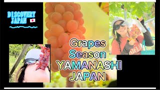 GRAPES SEASON JAPAN  AUGUST 2024  SUMMER ADVENTURE  YAMANAKAKO STAYCATION [upl. by Kappel551]