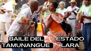 Baile del Tamunangue  Estado Lara [upl. by Soracco]