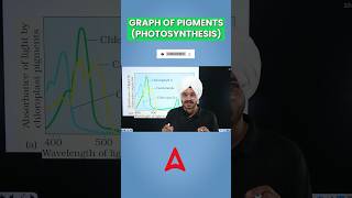 🔴GRAPH OF PIGMENTS  PHOTOSYNTHESIS  TRICK IN 1 MINUTE ytshortsfeature shortsfeed neet2024 [upl. by Rudin681]