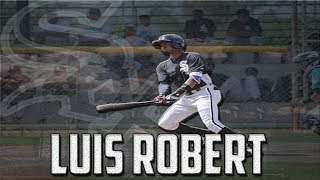 Luis Robert Highlights  Chicago White Sox OF Prospect [upl. by Racso]