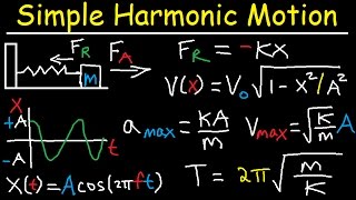 Simple Harmonic Motion Mass Spring System  Amplitude Frequency Velocity  Physics Problems [upl. by Mccandless]