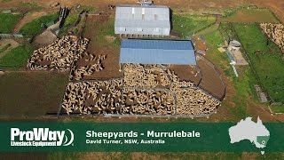 ProWay Sheepyards and Shearing Shed Murrulebale NSW [upl. by Gnort541]