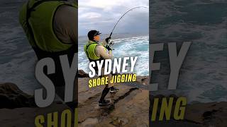 Shore jigging is the most effective method of rock fishing shorejigging rockfishing [upl. by Waldack]