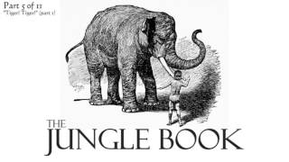 Part 5  The Jungle Book Audiobook 511 [upl. by Carmelita]