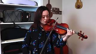 Ming Jiang Zhu G905 Violin [upl. by Lorianna]