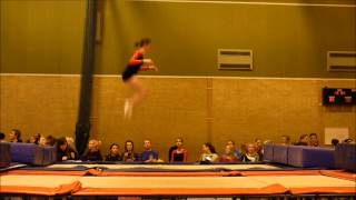 Loughborough 2013 Trampolining Routines [upl. by Naeruat]