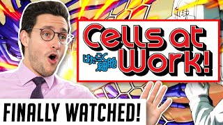 Real Doctor Reacts to CELLS AT WORK Hataraku Saibō [upl. by Brenan]