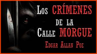 Los Crímenes de la Calle Morgue  Edgar Allan Poe  CUENTO DE TERROR Y MISTERIO AUDIOLIBRO COMPLETO [upl. by Mayce806]